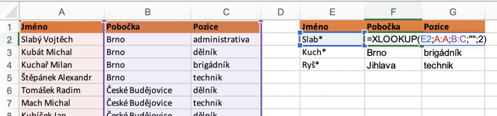 Excel - Hledání pomocí zástupných znaků